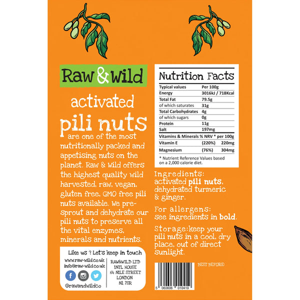 Activated Turmeric & Ginger Pili Nuts 22gr Raw & Wild