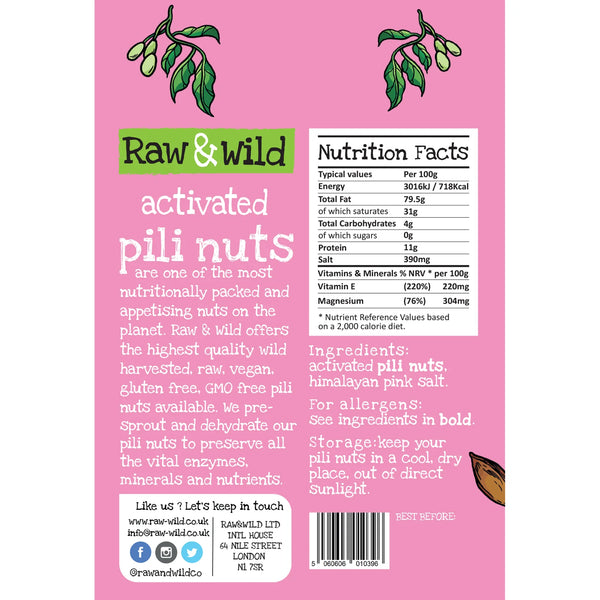 Activated Himalayan Pink Salt Pili Nuts 22gr Raw & Wild