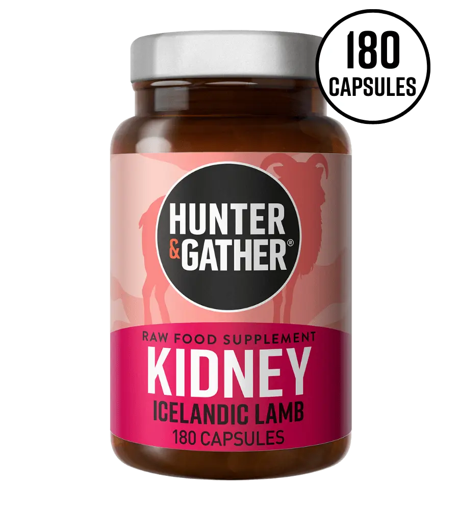 Kidney Iceland Lamb Hunter & Gather x90 KetoFitShop