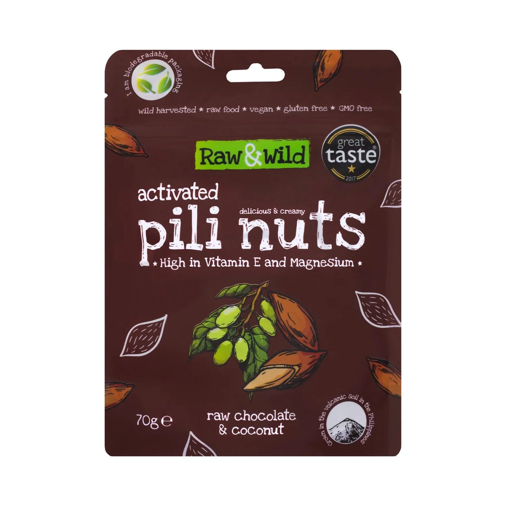 Activated Raw Chocolate & Coconut Pili Nuts 70gr Raw & Wild